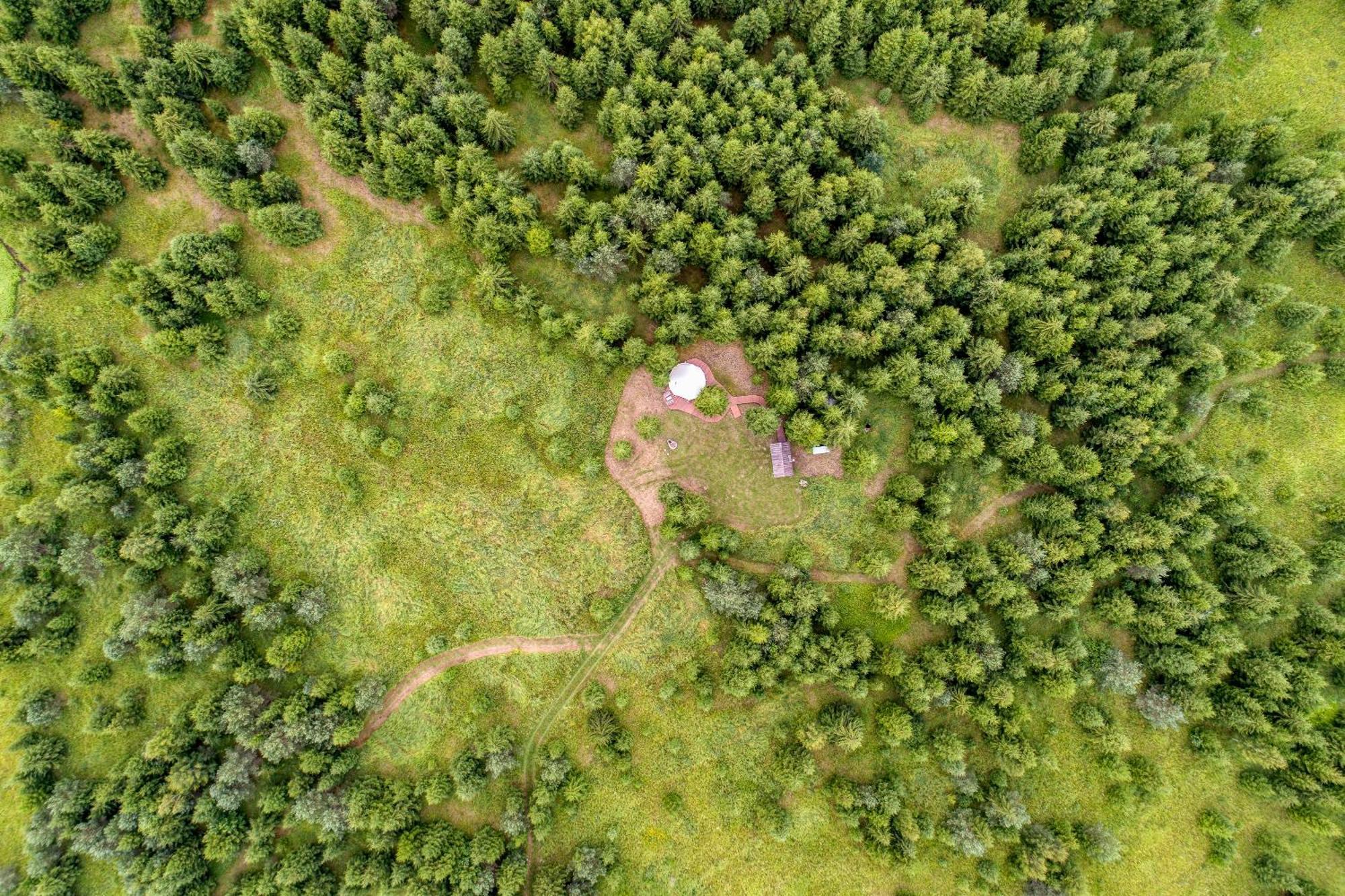 Kuusehaldja Glamping Hotell Kohila Eksteriør bilde